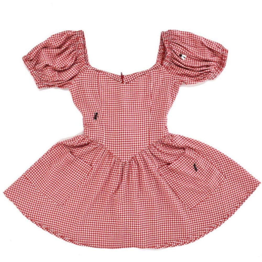 Fashion Brand Company Picnic Virgin Mini Dress NWOT